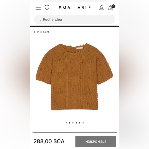 Sessùn Knit Short Sleeve Sweater - Picture 5 of 9